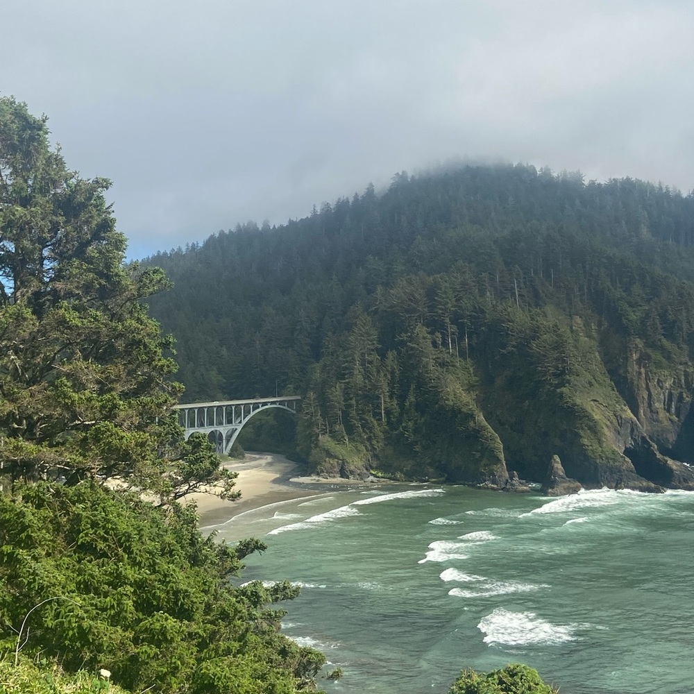 Meet your Posher, Bella